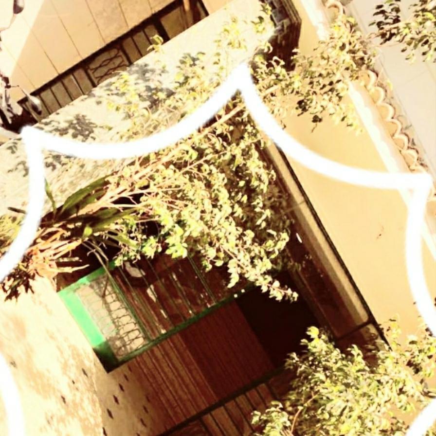 Omar Apartment القاهرة المظهر الخارجي الصورة